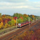EN57-2029