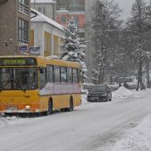 Autosan A1010M #12