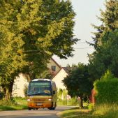 Mercedes O815D #05