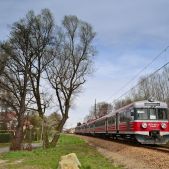 EN71-010
