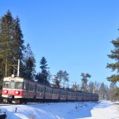EN71-005