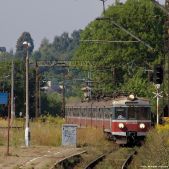 EN71-005