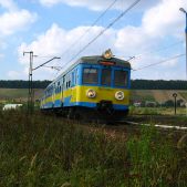EN71-036