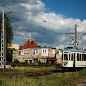 Bergmann #266