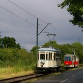Bergmann #266