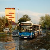 Jelcz M181MB #DD469