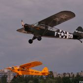 Piper Cub