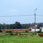 ED72-009
