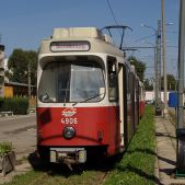 E6 #4906