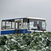 Autosan H6.06 #10108