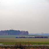 6Dg-155