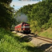 SM42-349
