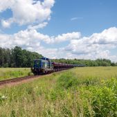 SM42-1103