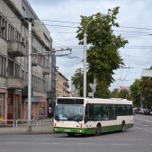 Den Oudsten B96 #828