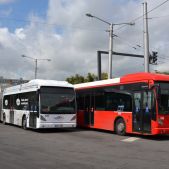 Van Hool AGG300 #841