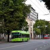 Solaris Trollino 12 #042