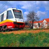 EN81-005