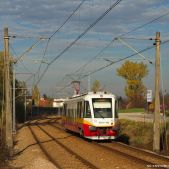 EN81-005
