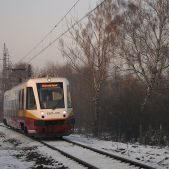 EN81-005