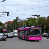 ЛАЗ E301D1 #2639