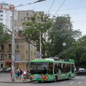 Trolza 5265 #3015