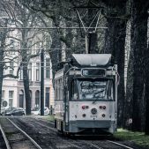BN PCC #6205