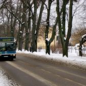 Neoplan N4016 #402