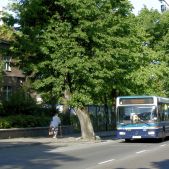 Mercedes O405N2 #906