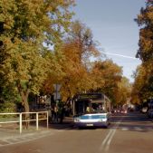 Solaris Urbino 12 #813