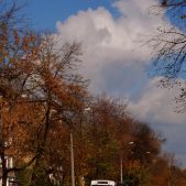 Jelcz 120M #BF304