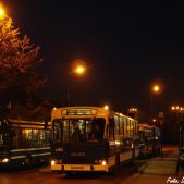 Jelcz 120M #BF304