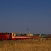 Lxd2-258
