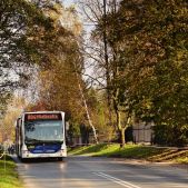 Mercedes O530G #DC524