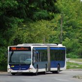 Mercedes O530G #DC508