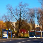 Mercedes O530G #DC520