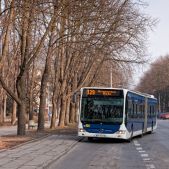 Mercedes O530G #DC503