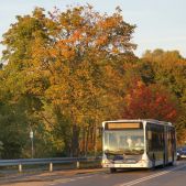 Mercedes O530G #DC529
