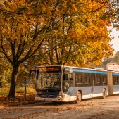Mercedes O530G #DC530