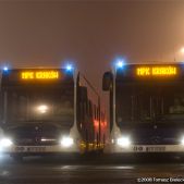 Mercedes O530G #DC501