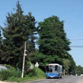 Jelcz M083C #DA101