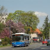 Jelcz M083C #DA104