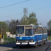 Ikarus 280.26 #241