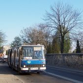 Ikarus 280.26 #243