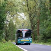Solbus SM10 #262