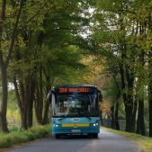 Solbus SM10 #263
