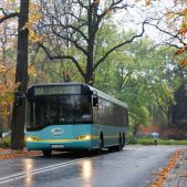 Solaris Urbino 15#206