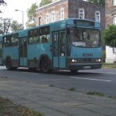 Jelcz M11 #71