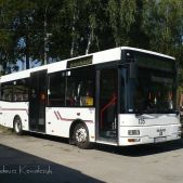 MAN NM223 #135