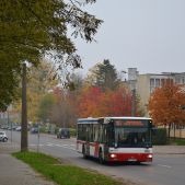 MAN NL283 #956
