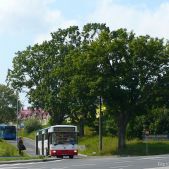 Jelcz 120M/3 #876